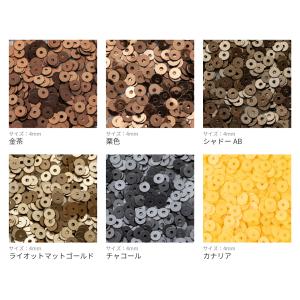 【4mm】センターホール Cグループ (約5g...の詳細画像3
