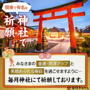 祈願済み 渋沢栄一 10億円 2枚セット グッ...の詳細画像1