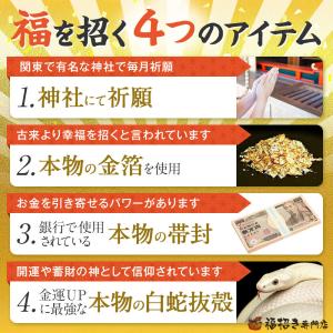 8億円 渋沢栄一 お金 お札 2026 札束 ...の詳細画像5