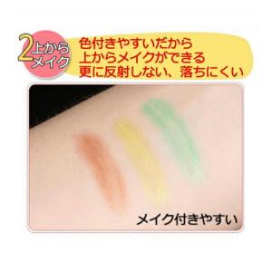 ワンコイン 500円 メッシュ アイテープ 水...の詳細画像4