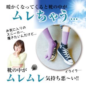 [3足セット] 足袋 ソックス レディース 靴...の詳細画像5