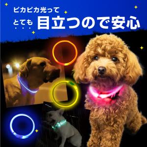 犬 首輪 光る カラー ペット 猫 LED ラ...の詳細画像5
