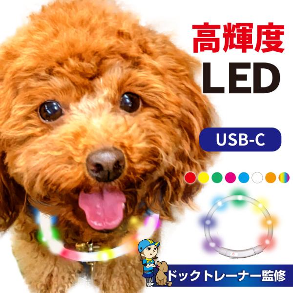 犬 首輪 光る カラー ペット 猫 LED ライト 小型 中型 大型 充電式