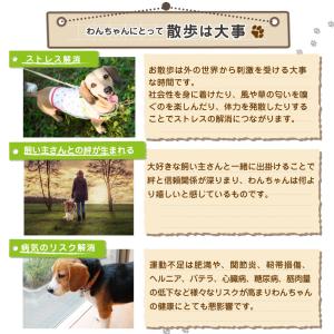 犬 首輪 光る カラー ペット 猫 LED ラ...の詳細画像1