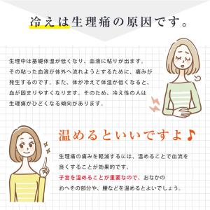 [3枚セット]サニタリーショーツ ポケット付き...の詳細画像3