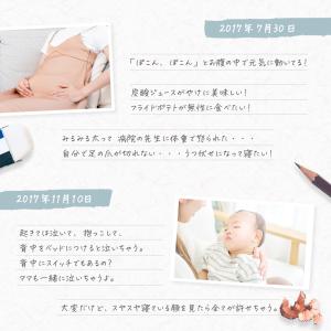 [3枚セット]マタニティ ショーツ ローライズ...の詳細画像5