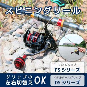 DAIWA（釣り） ダイワ HS インターライン リーガル ISO 5-52遠投