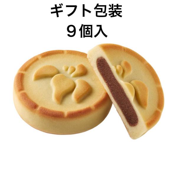 【名古屋限定】 とらや あいちの水辺　９個入 【ギフト包装・ショップバッグ付き】