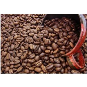 ×アントニオ　バリ　アラビカ　神山　無農薬栽培コーヒー 200g　≪アントニオコーヒー≫