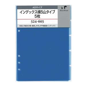 ノックス システム手帳 リフィル インデックス横5山タイプ 5枚 A5 52460500