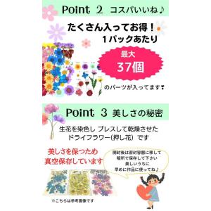 ドライフラワー 花材 押し花 デコパーツ レジ...の詳細画像2