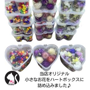 ドライフラワー レジン 花材 小花 ハーバリウ...の詳細画像1