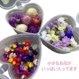 ドライフラワー レジン 花材 小花 ハーバリウ...の詳細画像2