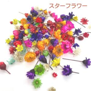 ドライフラワー レジン 花材 小花 ハーバリウ...の詳細画像3