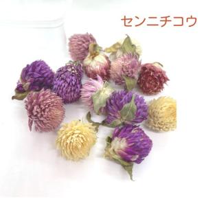 ドライフラワー レジン 花材 小花 ハーバリウ...の詳細画像4