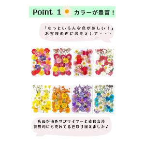 ドライフラワー 花材 詰合わせ レジン ハーバ...の詳細画像2
