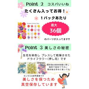 ドライフラワー 花材 詰合わせ レジン ハーバ...の詳細画像3
