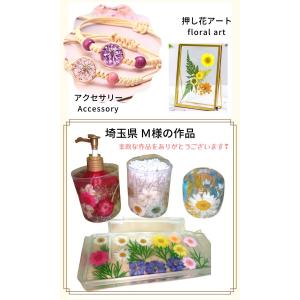 ドライフラワー 花材 詰合わせ レジン ハーバ...の詳細画像5