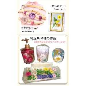 ドライフラワー 花材 詰合わせ レジン ハーバ...の詳細画像5