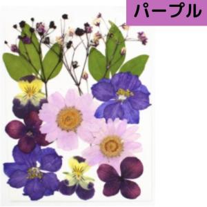 ドライフラワー 花材 詰合わせ レジン ハーバ...の詳細画像1