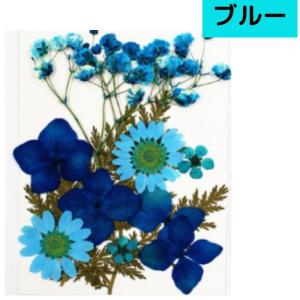 ドライフラワー 花材 詰合わせ レジン ハーバ...の詳細画像2