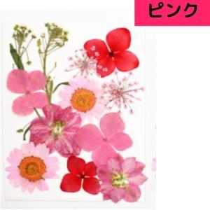 ドライフラワー 花材 詰合わせ レジン ハーバ...の詳細画像5