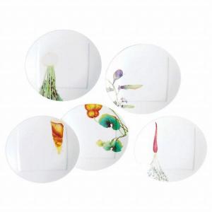 ノリタケ ノリタケ＜Noritake＞アンサンブルホワイト 5枚セット 18.5