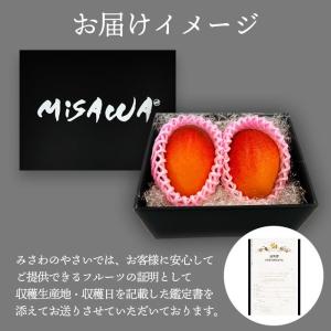 マンゴー ギフト 鑑定書付き 赤秀 完熟 宮崎...の詳細画像1
