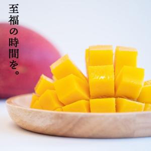 マンゴー ギフト 鑑定書付き 赤秀 完熟 宮崎...の詳細画像3