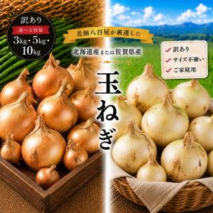 玉ねぎ 訳あり 10kg サイズお任せ M〜2L 国産 皮茶 玉葱 たまねぎ タマネギ 皮 保存野菜 常備野菜