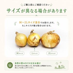 玉ねぎ 訳あり 3kg サイズお任せ M〜2L...の詳細画像2
