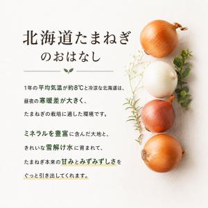 玉ねぎ 訳あり 3kg サイズお任せ M〜2L...の詳細画像3