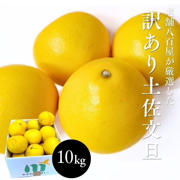 文旦 訳あり 土佐文旦 10kg 20〜30玉前後 ぶんたん ブンタン 高知県産 サイズお任せ 汚れ...