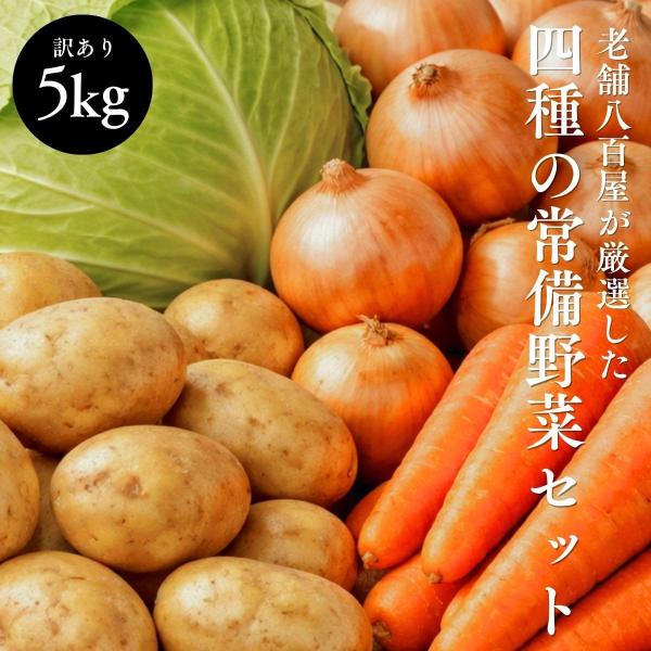 常備 野菜セット 国産 5kg 4種 人参 玉ねぎ じゃがいも [ メークイン ] キャベツ 訳あり...