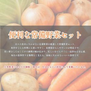 常備 野菜セット 国産 5kg 4種 人参 玉...の詳細画像2