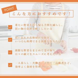 常備 野菜セット 国産 5kg 4種 人参 玉...の詳細画像3