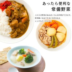 常備 野菜セット 国産 5kg 3種 人参 玉...の詳細画像4