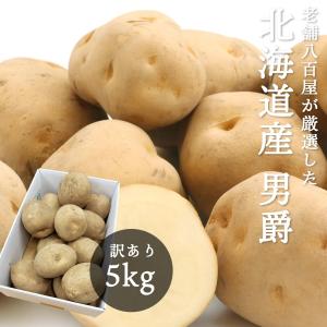 男爵 5kg 北海道産 じゃがいも サイズお任せ M〜2L 訳あり 男爵イモ ジャガイモ 馬鈴薯 国産