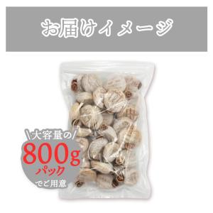 市田柿 干し柿 800g 常温便 訳あり ご家...の詳細画像2