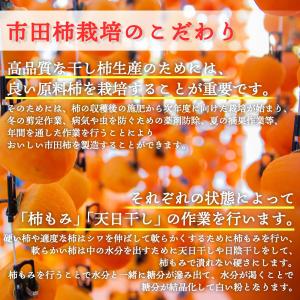 市田柿 干し柿 800g 常温便 訳あり ご家...の詳細画像5