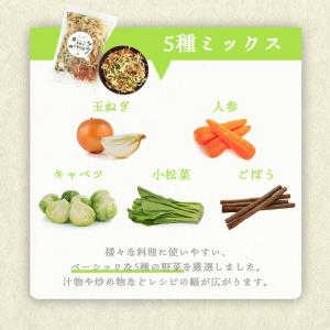 乾燥野菜 国産 ドライベジ お試し 100g ...の詳細画像2