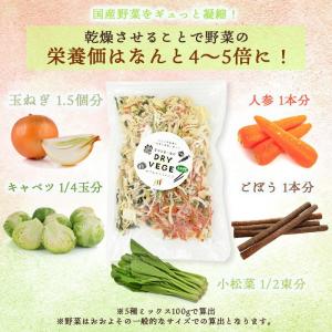 乾燥野菜 国産 ドライベジ お試し 100g ...の詳細画像3