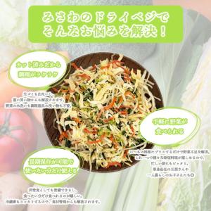 乾燥野菜 国産 ドライベジ お試し 100g ...の詳細画像5