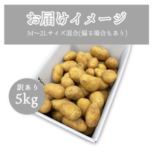 メークイン じゃがいも 5kg 北海道産 訳あ...の詳細画像3