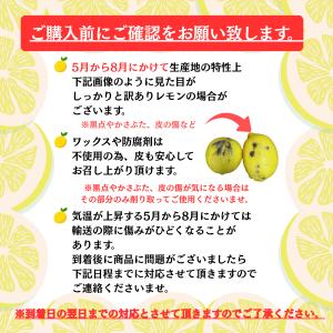 レモン 国産 訳あり 1kg 皮まで食べられる...の詳細画像1