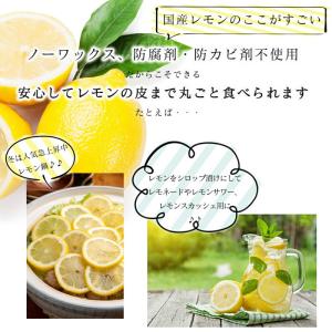 レモン 国産 訳あり 1kg 皮まで食べられる...の詳細画像4