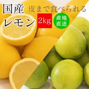 レモン 国産 訳あり 2kg 皮まで食べられるレ...の商品画像