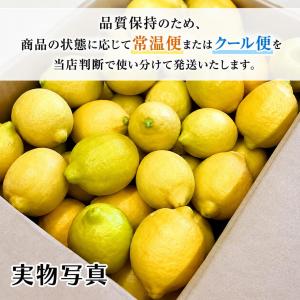 レモン 国産 訳あり 2kg 皮まで食べられる...の詳細画像2