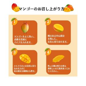 マンゴー 訳あり ご家庭用 宮崎県 完熟 3玉...の詳細画像5