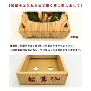 国産 松茸 訳あり 家庭用 100g 国産 長...の詳細画像2